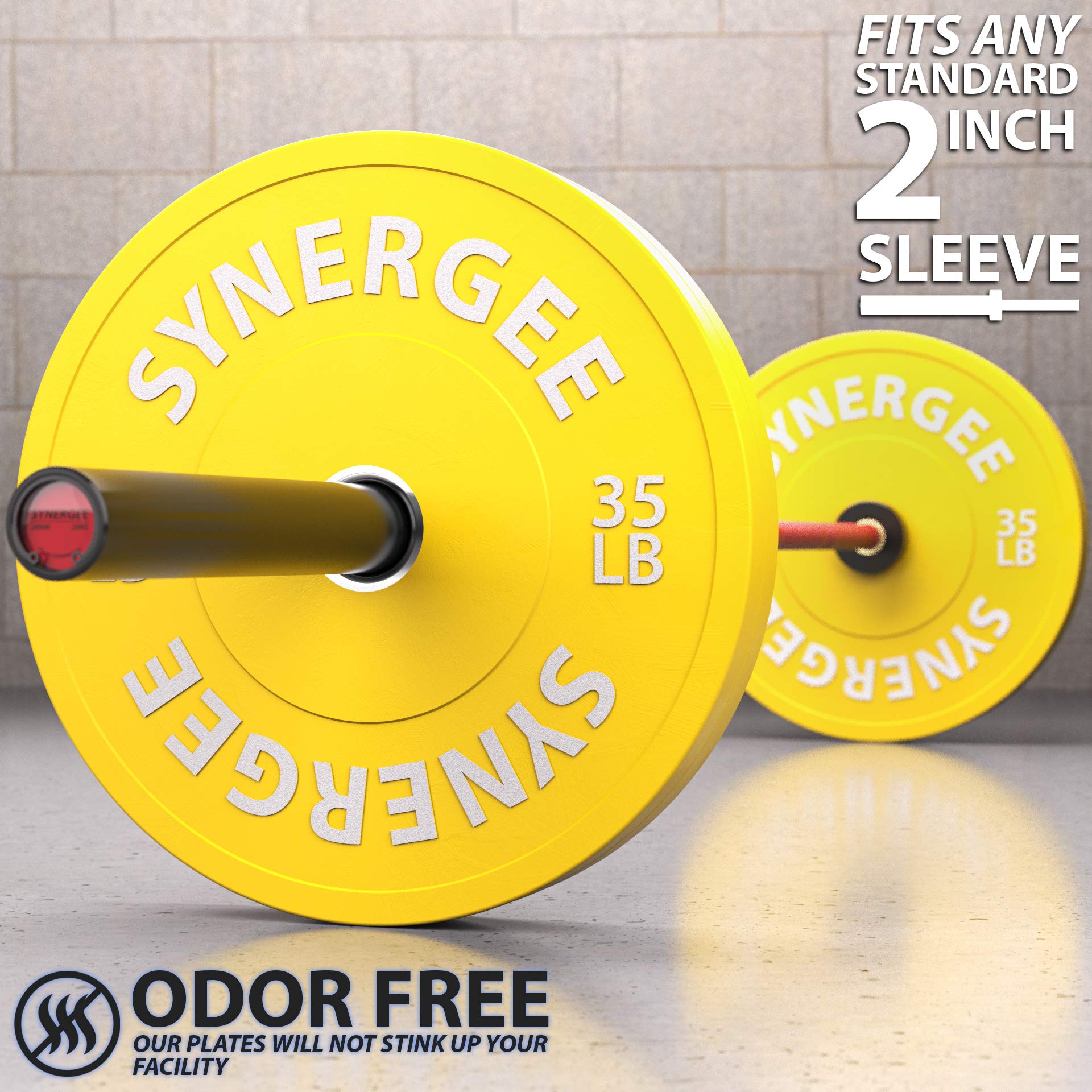Synergee Color Bumper Plates Weight Plates Strength Conditioning