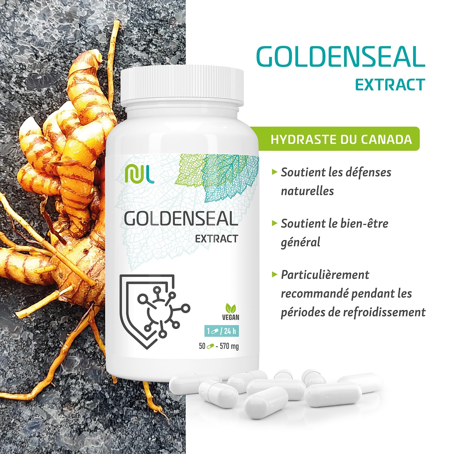 Hydraste du Canada 570 mg Goldenseal - 50 Gélules Végétales - Complément Alimentaire Naturel pour le Bien-Être - Soutien des Défenses Naturelles - Pour 1 Mois - Fabriqué en Europe - Nutri Life
