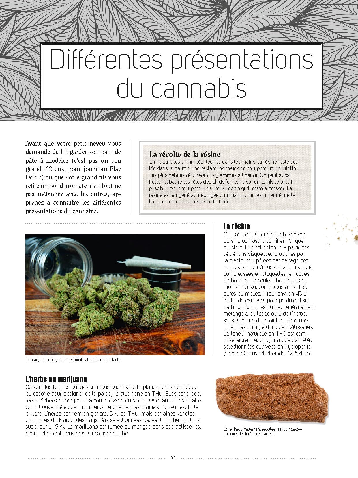 Chanvre et cannabis: Tous les savoirs, toutes les histoires, tous les pouvoirs, tous les espoirs