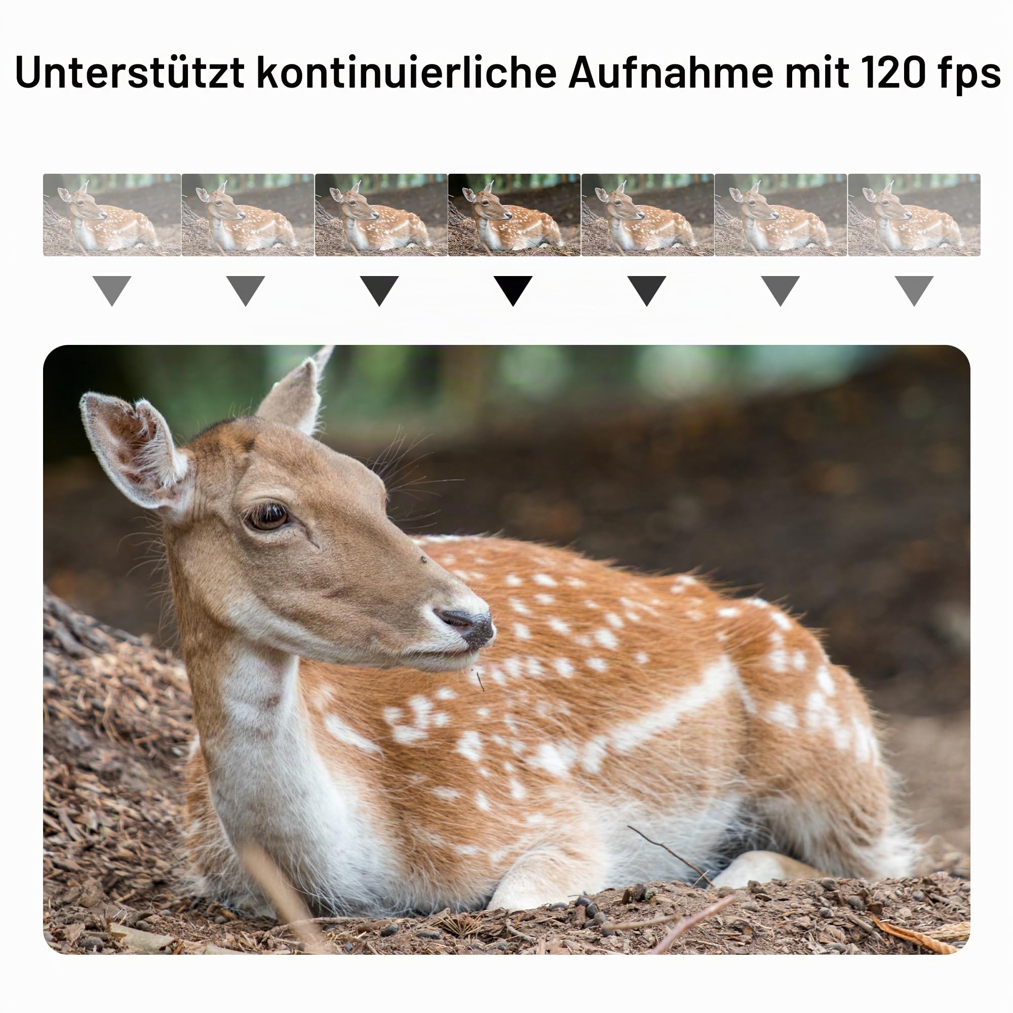 VILTROX Telekonverter TC-2.0X für 2.0X Vergrößerung, Autofokus Telekonverter Extender Konverter kompatibel mit Nikon Z-Mount NIKKOR Z 70-200mm f/2.8VR S, 400mm f/4.5 VR S, 100-400mm f/4.5-5.6 VR S