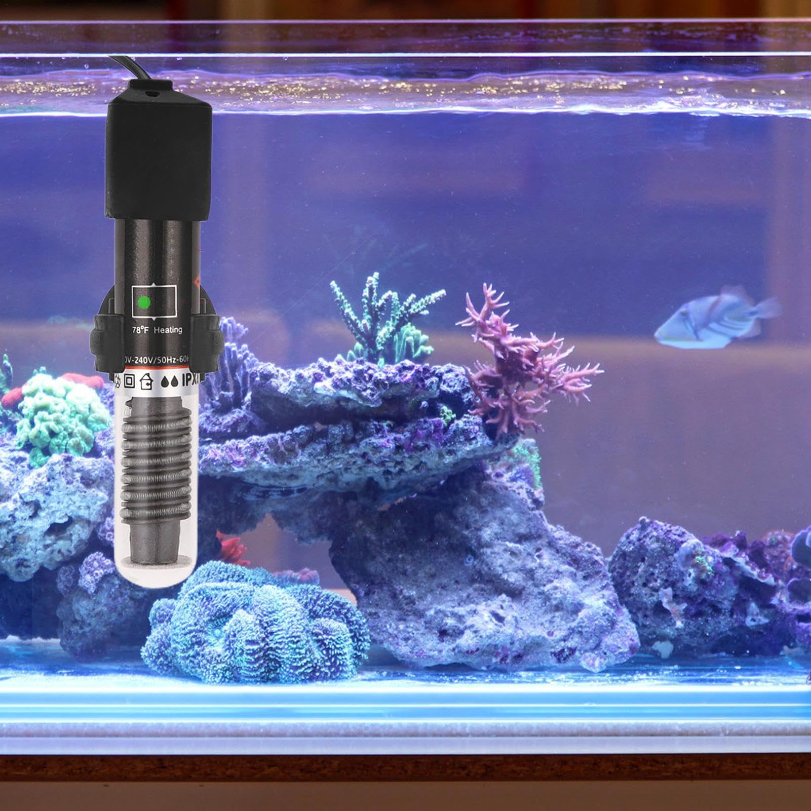 Amazon | Shxupjn ベタ水槽ヒーター、水槽ヒーター | ベタ水槽ヒーター