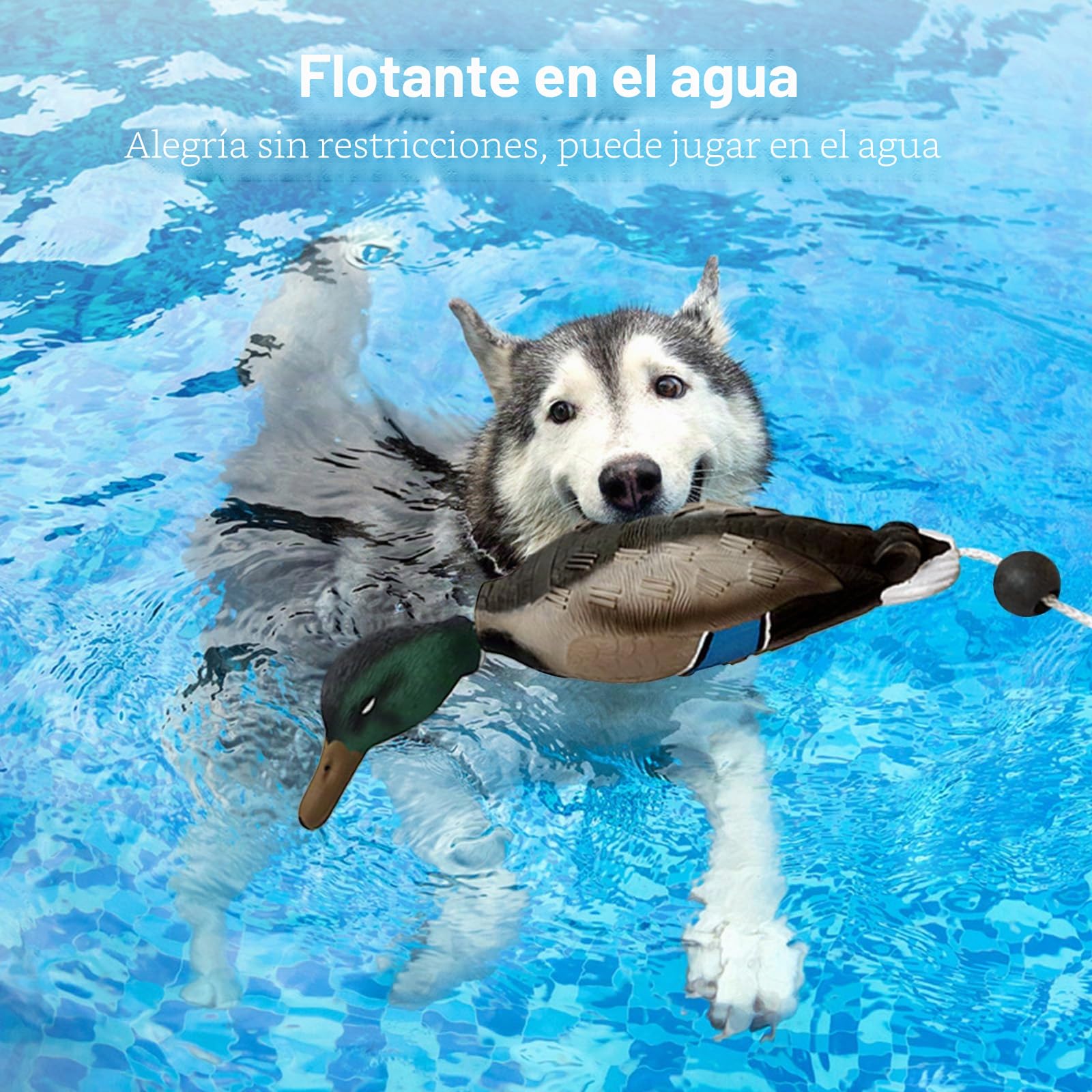 Pato Dummy Dog Training,Mordedor Perro Dummy Flotante,Parachoques de Pato Imita a un Dummy de Pato como Juguete para el Entrenamiento de Cachorros o Perros de Caza Adultos