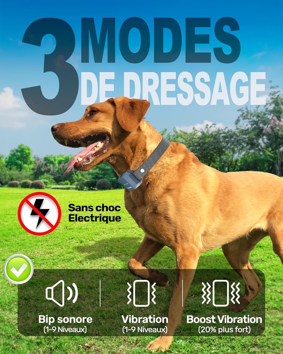 STAALGUARD ST30-Pro Dog Training Collar 3 modes