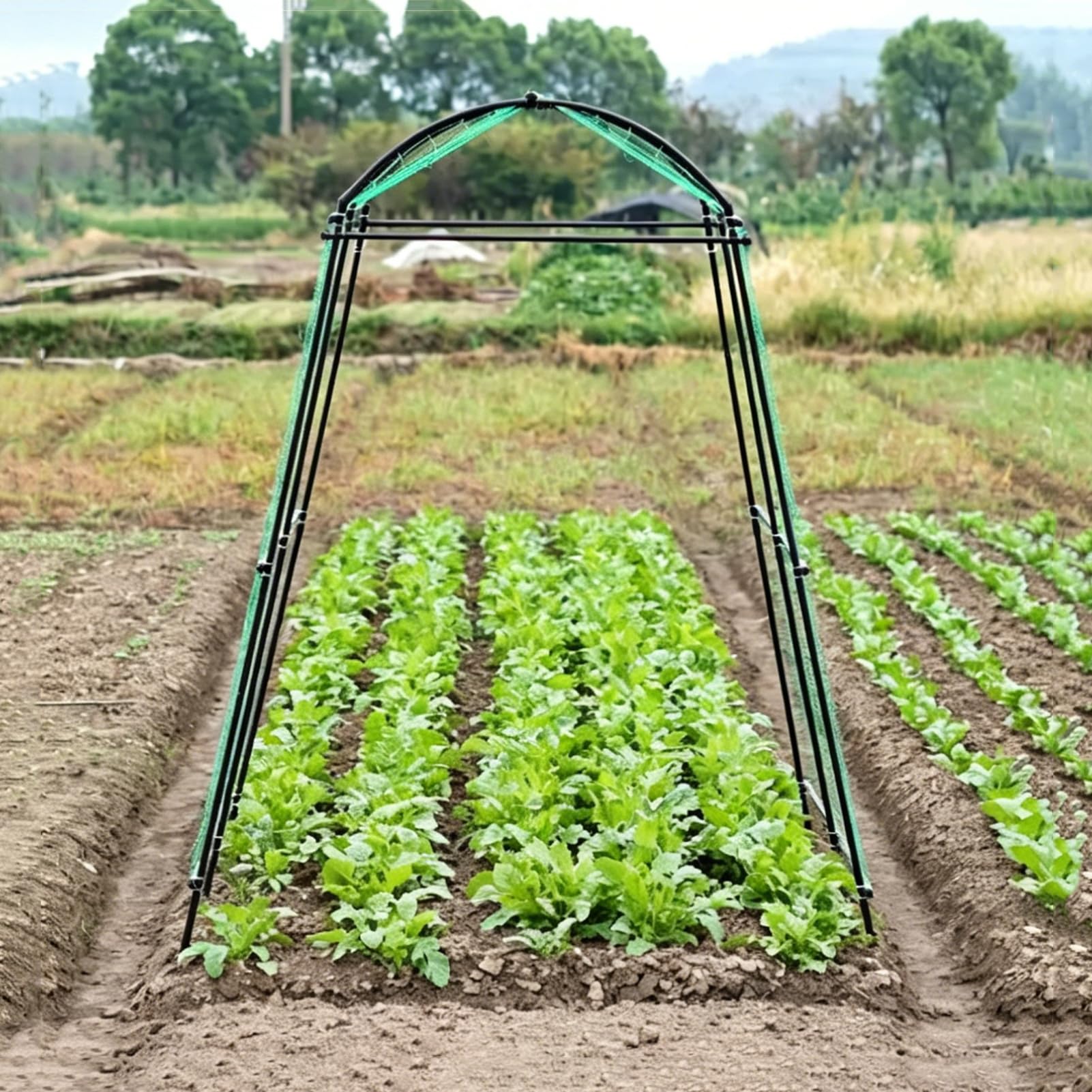 Gurken Rankhilfe 124x180x220cm, Stahlrohr Garten Rankgitter, mit Ranknetz & Klemmen, multifunktionale Pflanzenstütze für Kletterpflanzen, Tomaten, Gemüse, Blumen, Outdoor Garten Rankstütze (Schwarz)