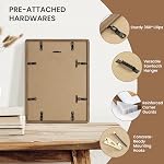 Dreamland 11x14 Picture Frame with Mat for 8x10, USA-Sourced Natural Oak Wood Photo Frames with Resistant Plexiglass, 11 x 14 Handcrafted Round Corner Gallery Wall Frames for Art, Walnut