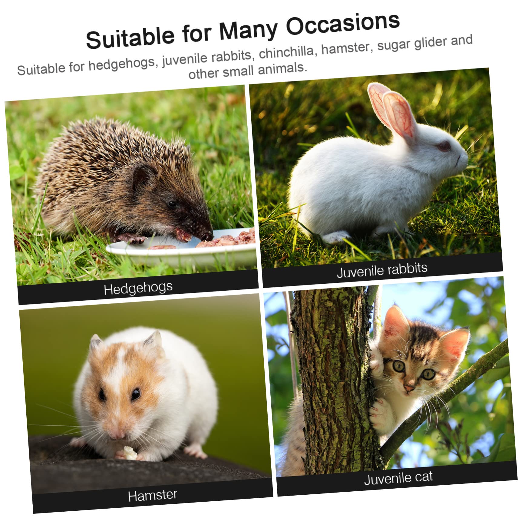 BESPORTBLE 1set Giocattolo Per Criceti Legno Set Di Giochi Masticabili Per Piccoli Animali Altalena e Dondolo Per Criceti e Conigli Giocattoli Naturali Per Masticare e Salute Fisicaconfezione