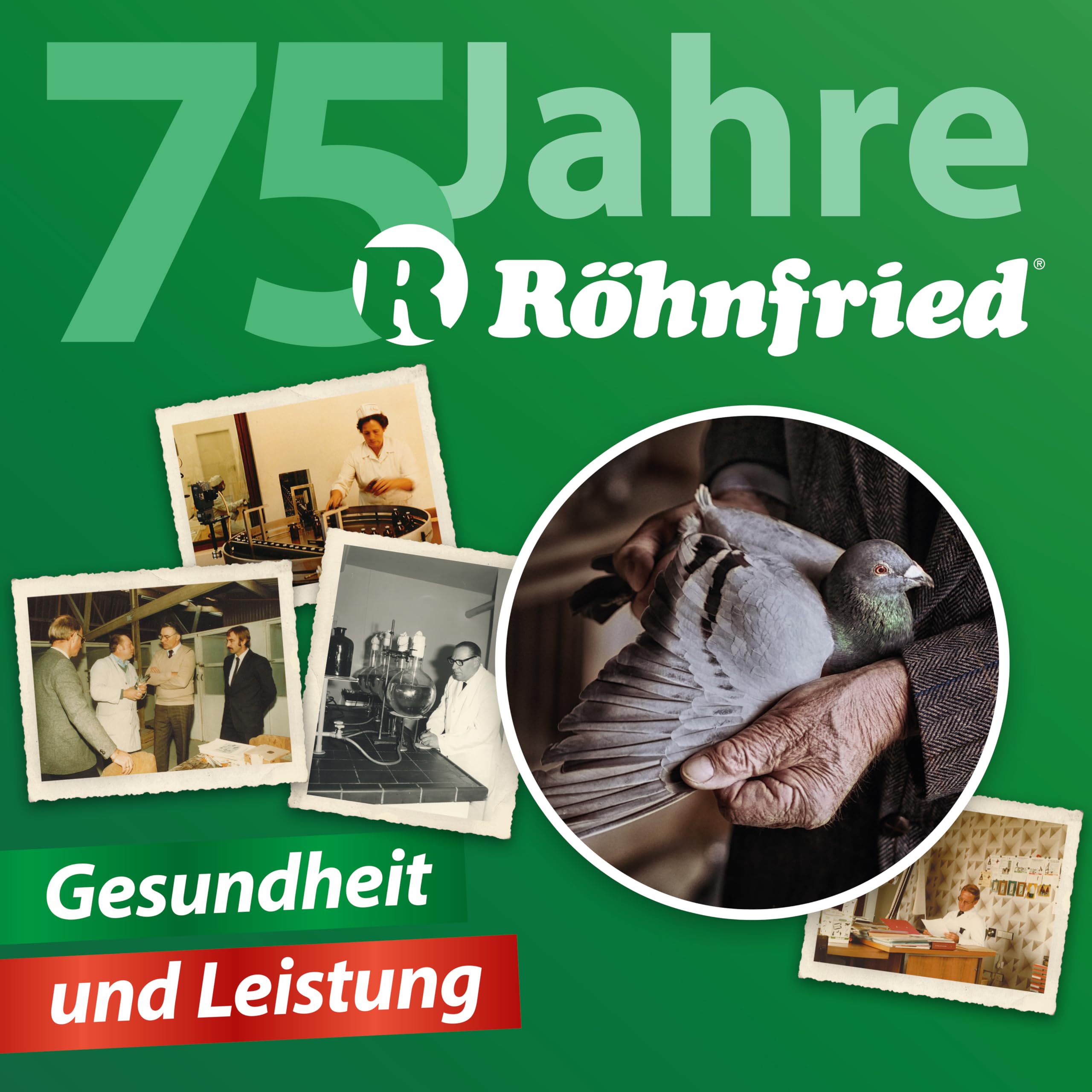 Röhnfried Fed-Pick-Sprühflasche gegen Federfressen (400 ml)