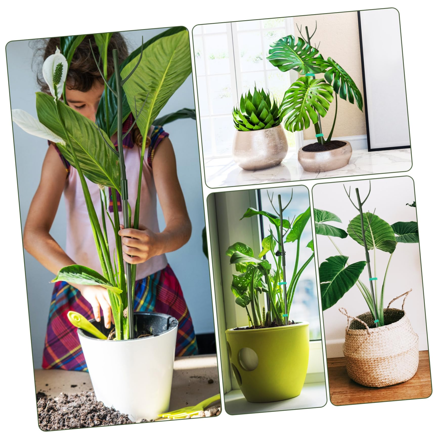 Toyvian Tuteurs de Support pour Plantes Hautes en Plastique Vert Extensibles Installation Facile pour Jardin et Intérieur Lot de 1