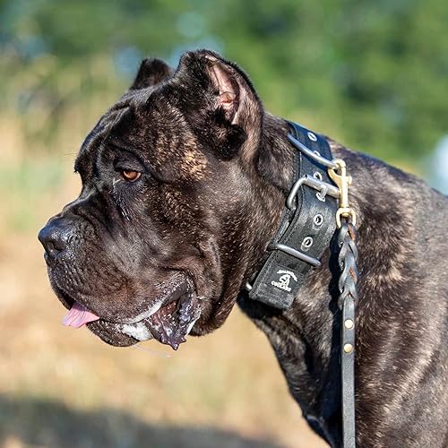 Miniatura 9 de SparkDog Collar de trabajo para perro, collar de perro de 2 pulgadas de ancho, correas de cinturón de seguridad de poliéster de 4 capas, accesorios