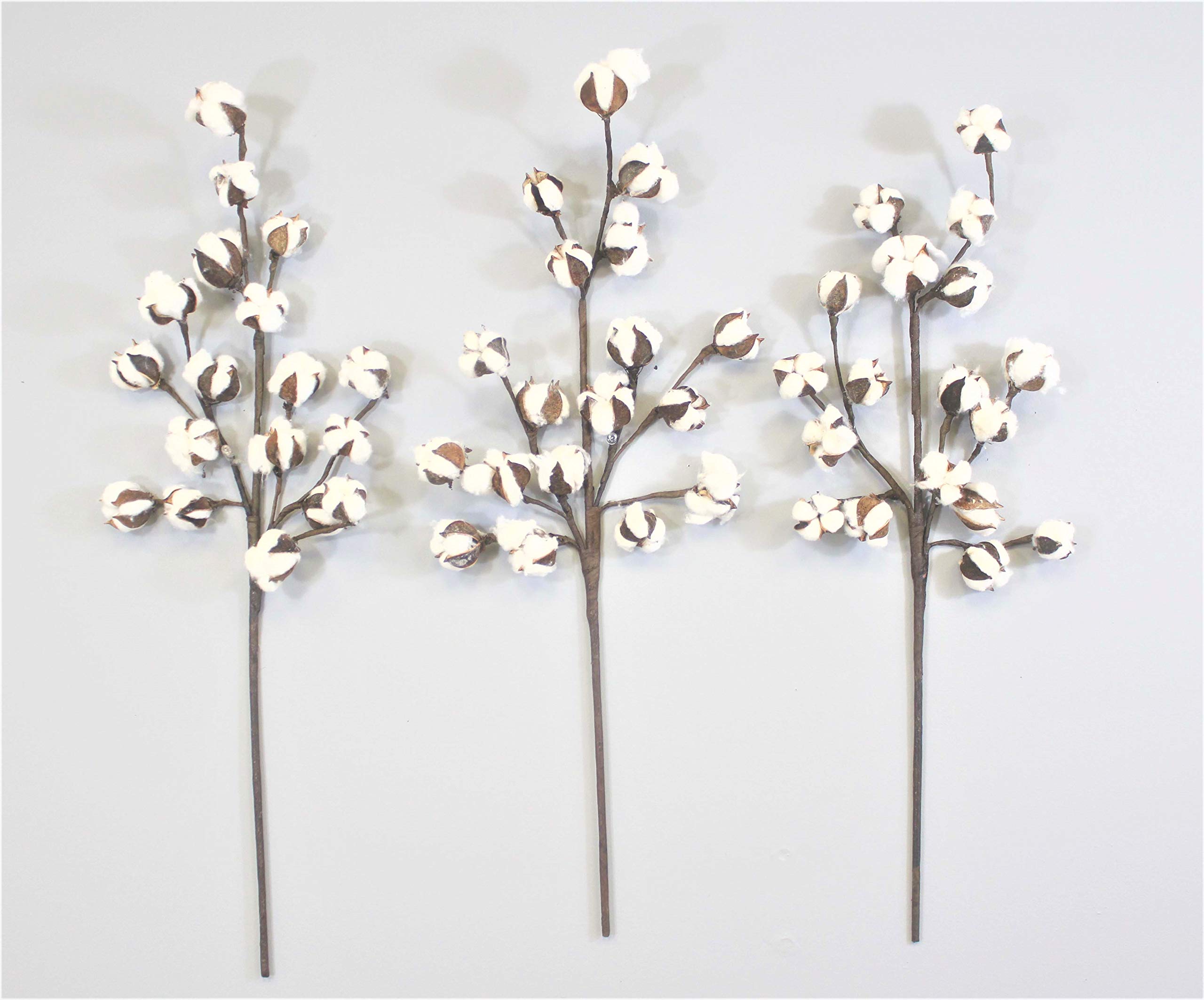 Silvercloud Trading Co. Cotton Stem - 30" Tall - 3 Stems/Pack - 18 Cotton Buds/Stem - Large - Farmhouse Style Cotton Stems Floral Display Filler (3 Stems)