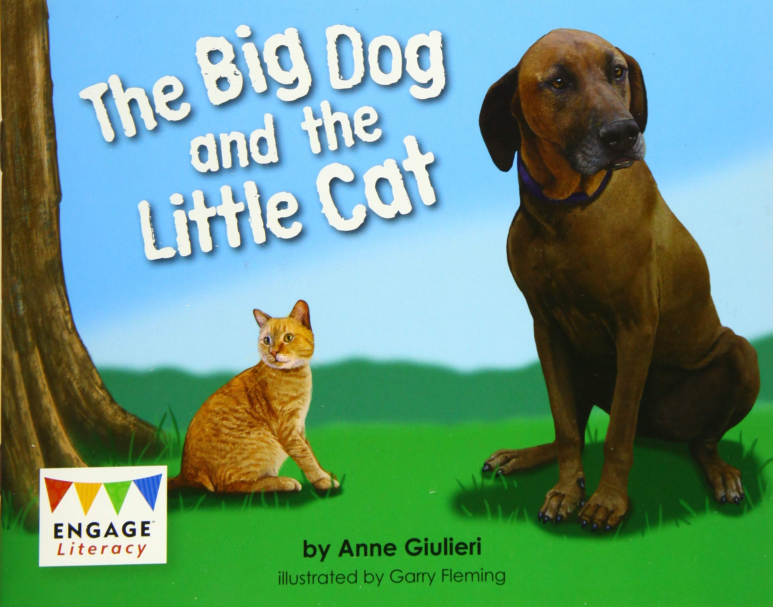 Engage Literacy Red: The Big Dog and the Little Cat