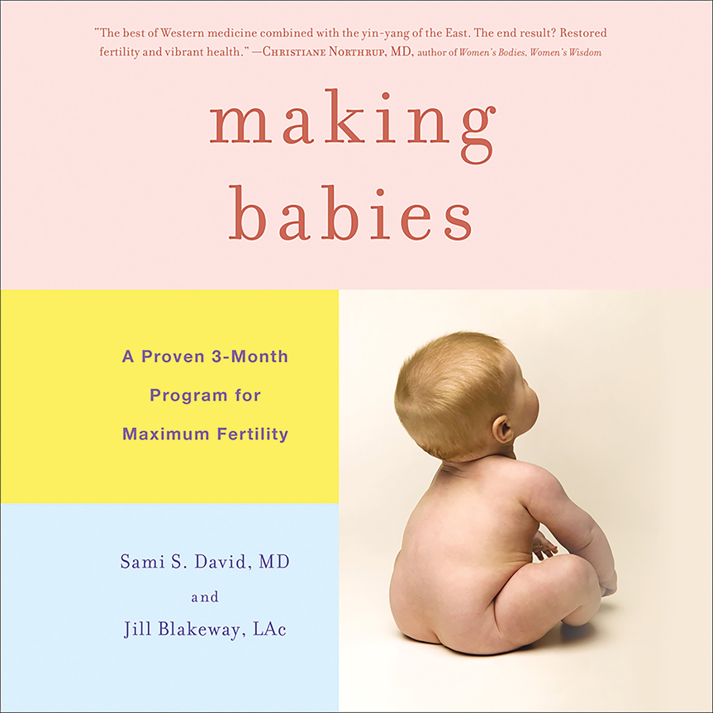 Cover art for Making Babies
