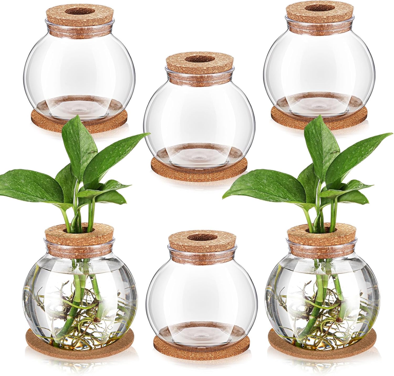 Baderke 6 Packs Propagation Vases for Plants Plastic Plant Propagation Station with Hole Lid and Cork Coasters Plant Growing in Water Hydroponic Home Office Table Decoration(Fish Bowl Style)