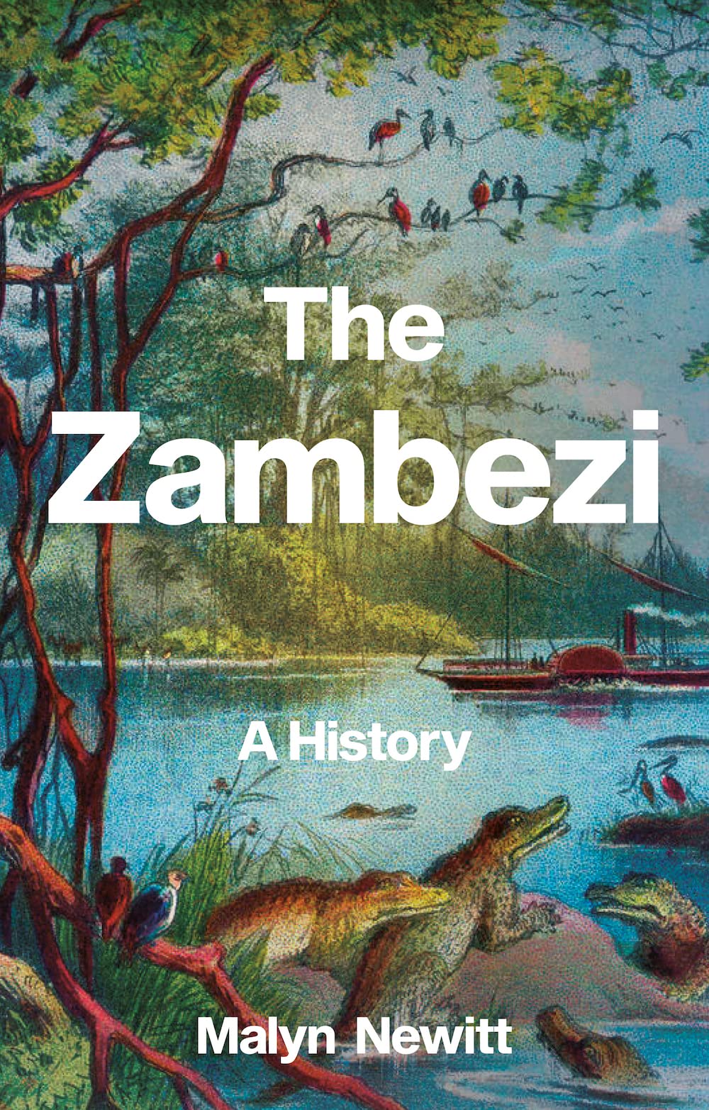Zambezi : A History by Malyn Newitt (2022, Hardcover)