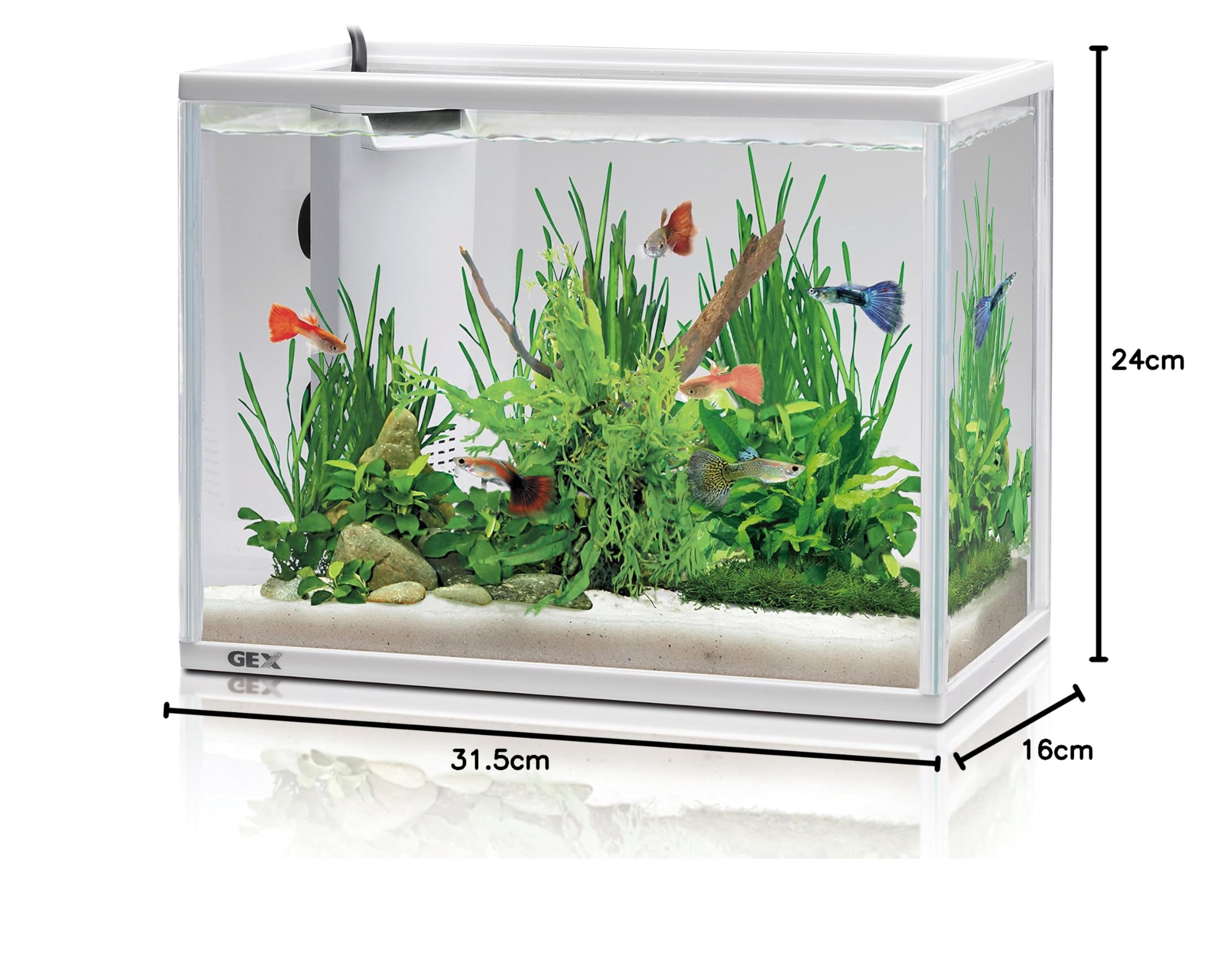 Amazon | ジェックス GEX ガラス サイレントフィット 300 金魚用