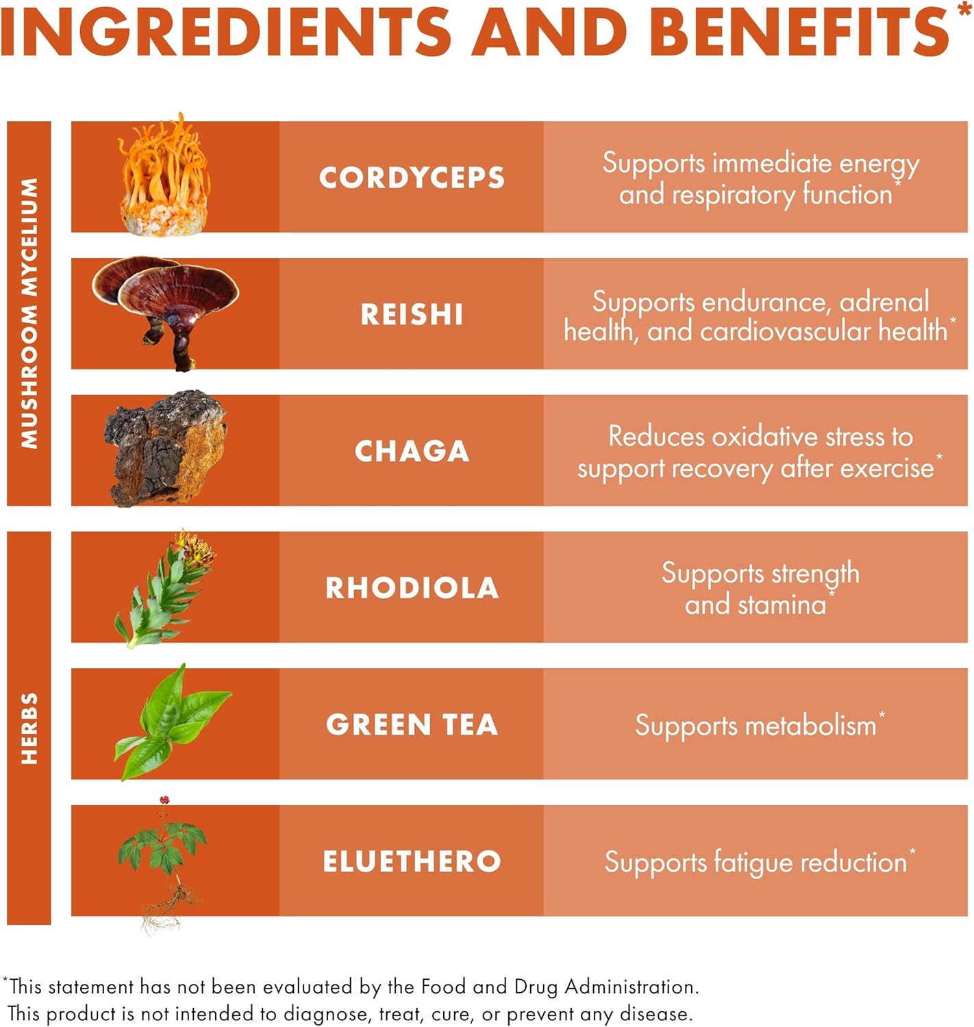 Host Defense MycoBotanicals Energy* Capsules - Energy & Respiratory Support Supplement - Herbal Green Tea Capsules - Respiratory Supplement with Cordyceps, Reishi & Chaga - 60 Capsules (30 Servings)* - Image 6