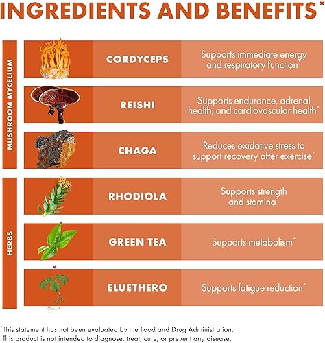 Miniatura 6 de Host Defense, MycoBotanicals Energy Capsules, promueve la energía inmediata y sostenida, suplemento de hongos, 60 cápsulas, sin sabor