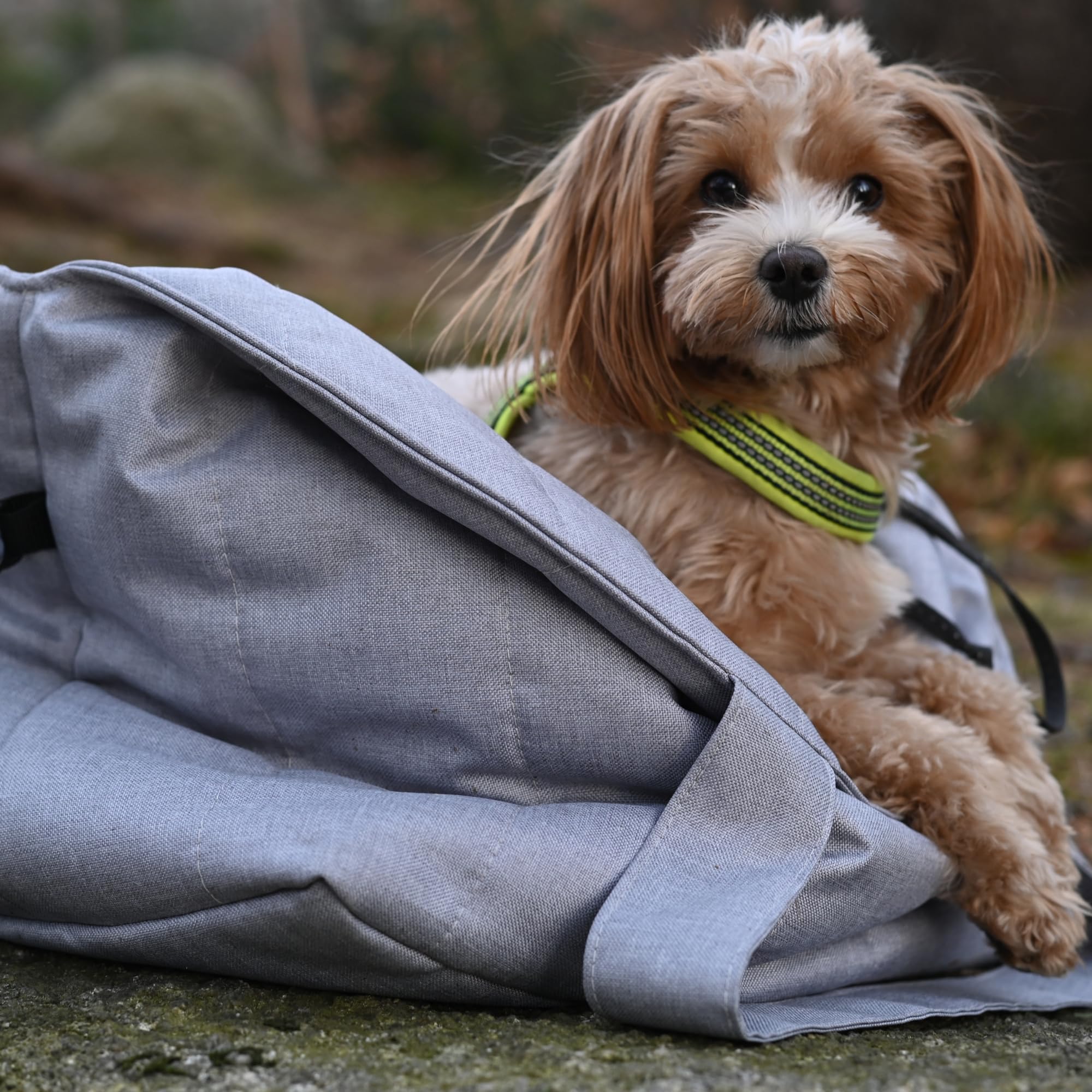 3in1 Hundetasche & Transportbox – Autositz, Reisebett & Tragetasche für kleine Hunde & Katzen – Handgefertigt in der EU – Waschbar mit Kissen (Grau)