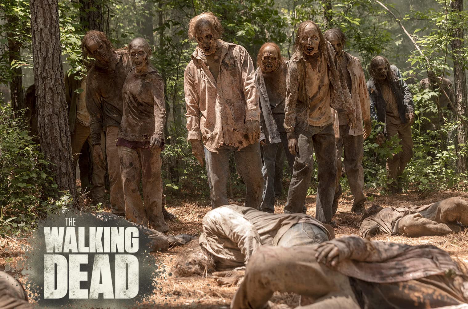 The Walking Dead - Staffel 10