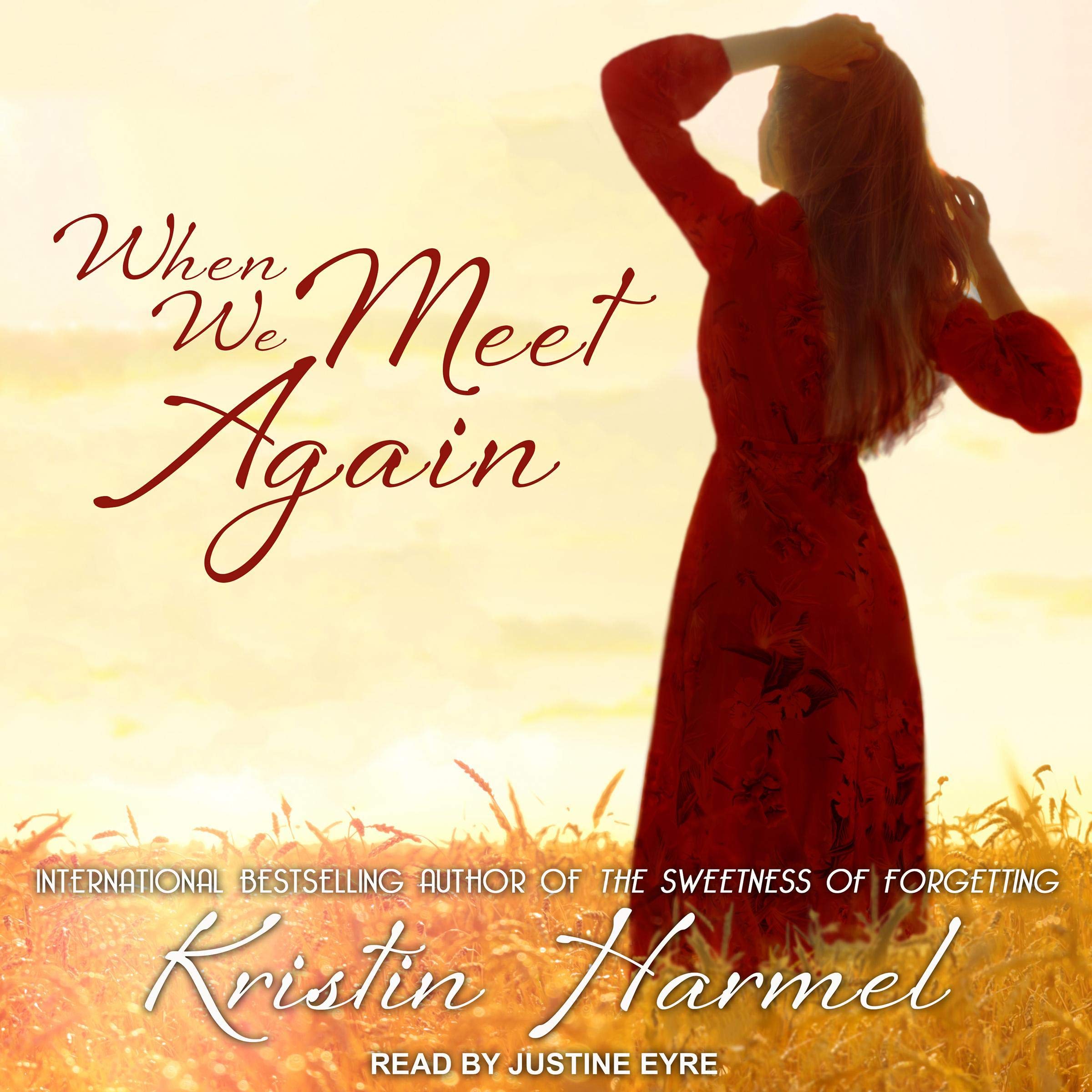 Cover art for When We Meet Again