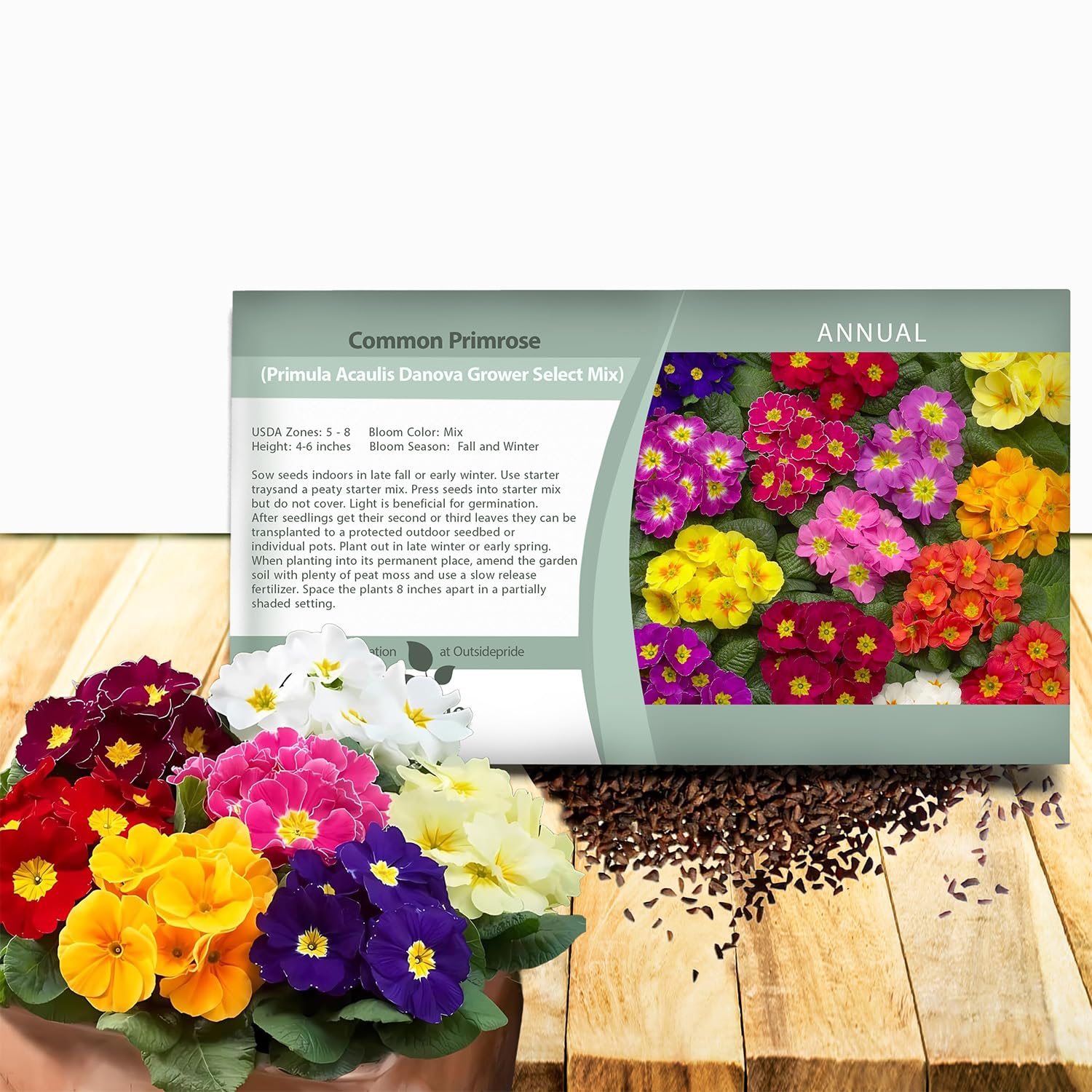 Outsidepride Danova Grower Mix Common Primrose Seeds - 25 Pcs Annual, Hardy, Easy to Grow & Low Maintenance Flower Seeds for Planting Vibrant Soft Blooms, for Containers, Borders & Erosion Control