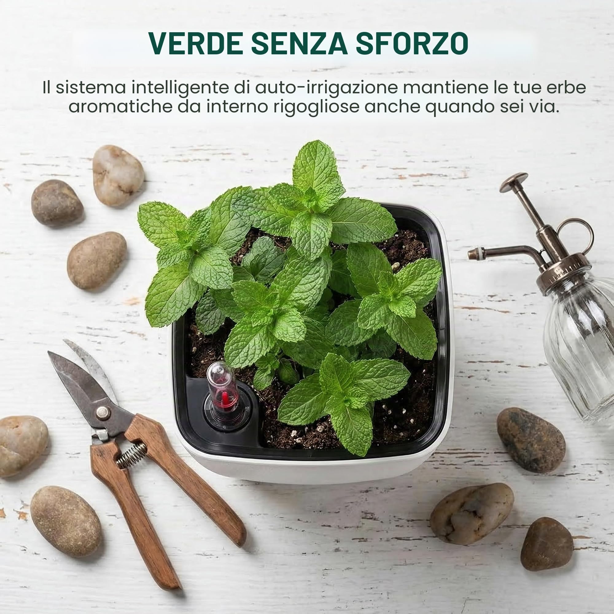 yarlung Confezione da 6 fioriere autoirriganti con indicatore del livello dell'acqua, 12,7 cm, in plastica, per piante da interno, erbe, aloe, giardinaggio all'aperto