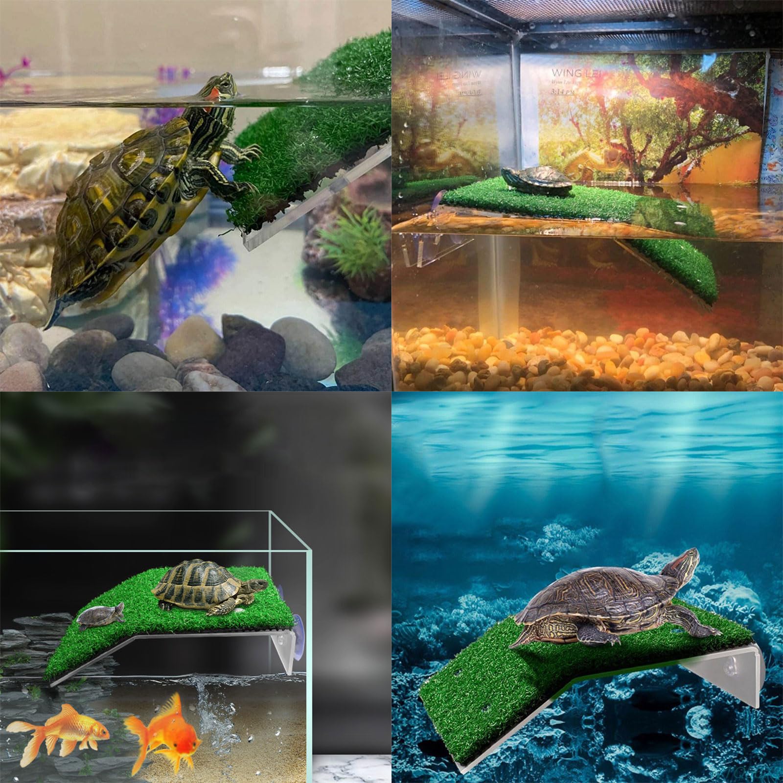 Plateforme Tortue Aquatique Sunbathing Platform pour Tortues Aquatiques