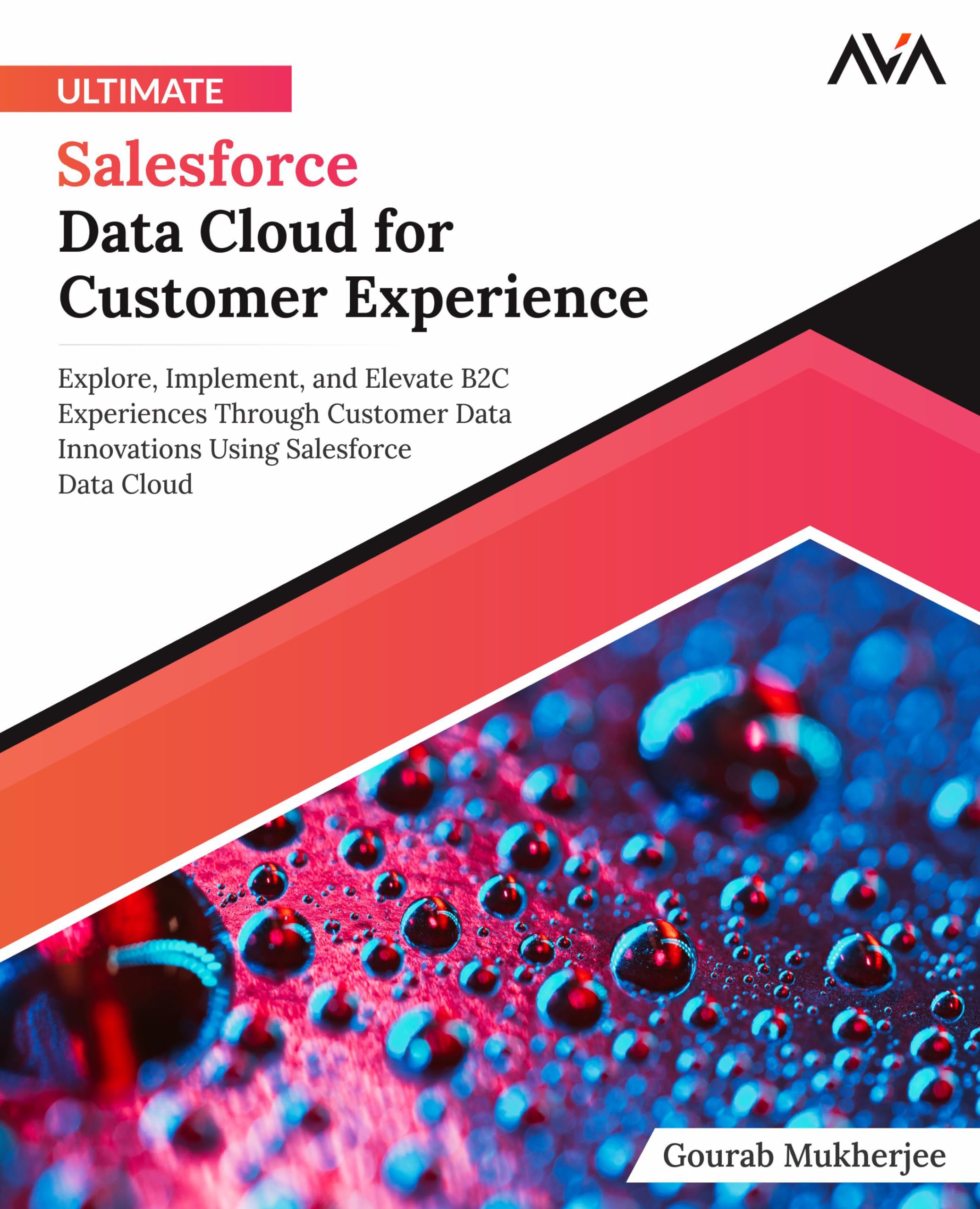 Ultimate Salesforce Data Cloud for Customer Experience: Explore, Implement, and Elevate B2C Experiences Through Customer Data Innovations Using ... Tools Specialist — Jira & Salesforce)