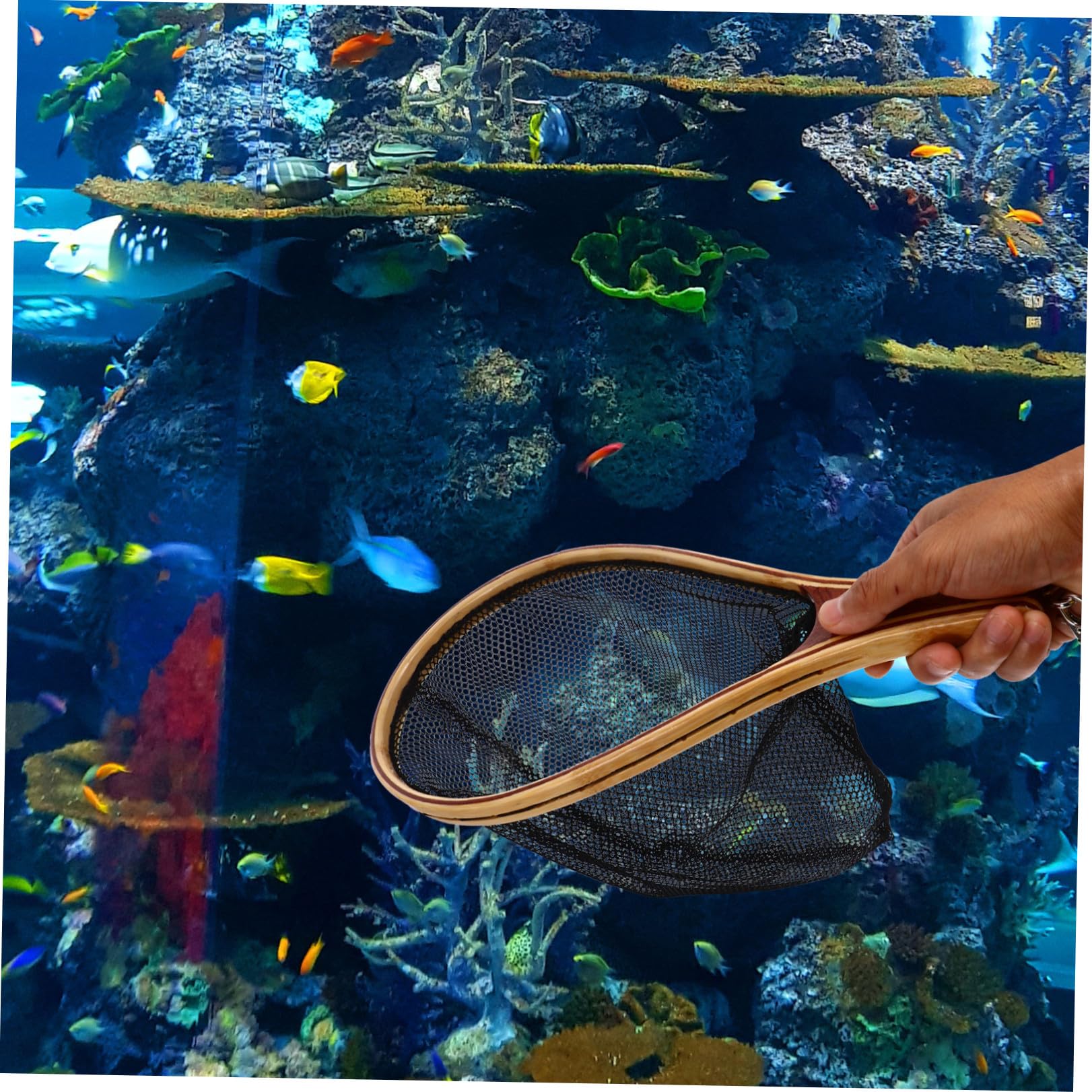 VANZACK Leichter Fliegenbindestock Kescher mit Bambusgriff und Kleinem Netz für Fischfang im Aquarium und Zuhause Kompakt und Einfach zu Benutzen