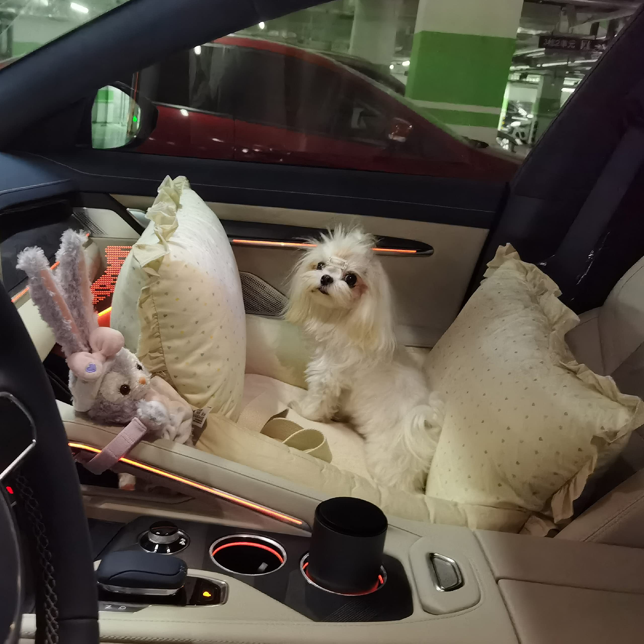 Asiento de coche de lujo para perros y cama de viaje para mascotas con cinturón de seguridad y correa para perros pequeños y medianos, funda impermeable extraíble de alta calidad con protección de