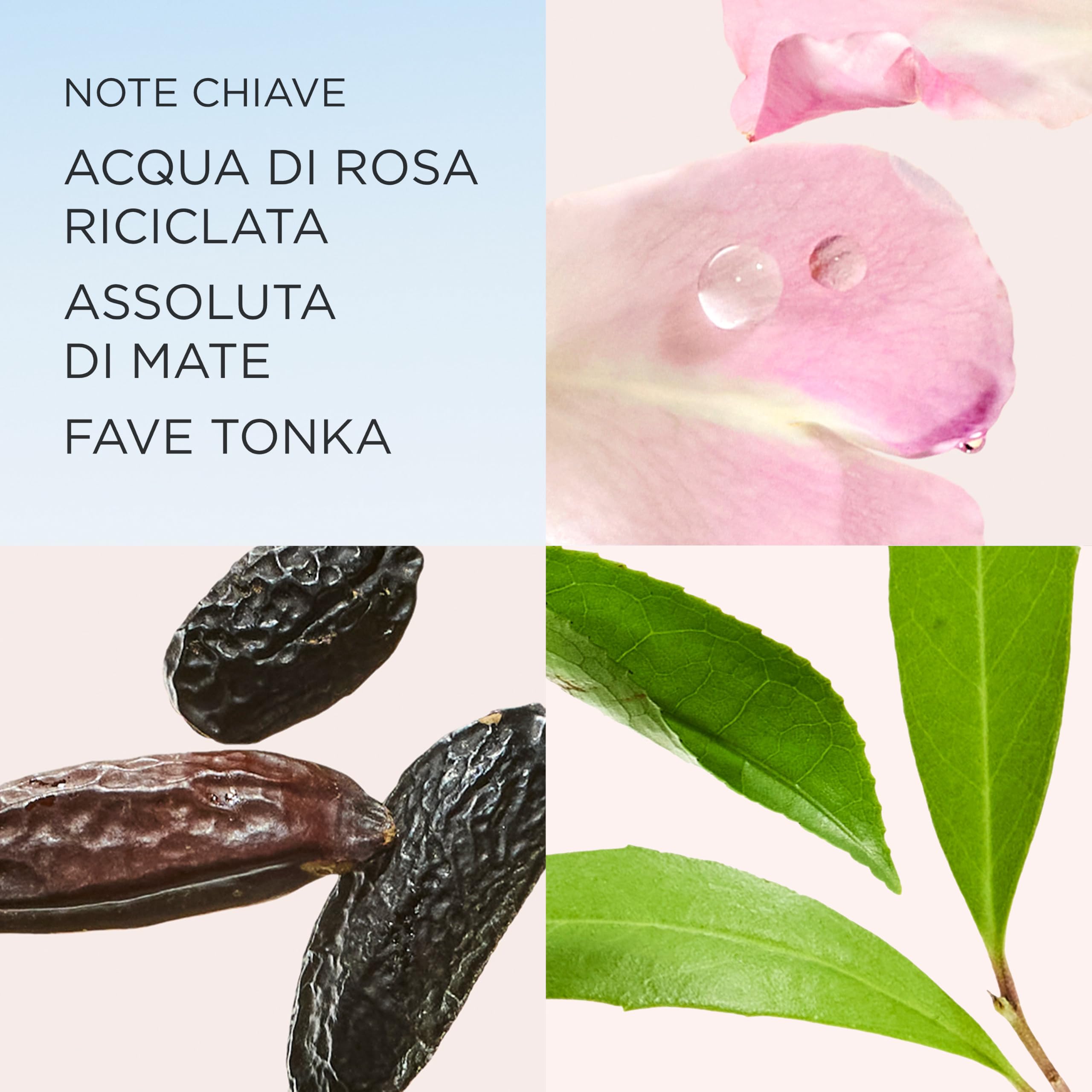 Elizabeth Arden - White Tea, Eau de Parfum, Fragranza Floreale e Legnosa per Donna, Freschezza e Leggerezza, con Mandarino Italiano, Salvia Sclarea, Tè Bianco e Gelsomino