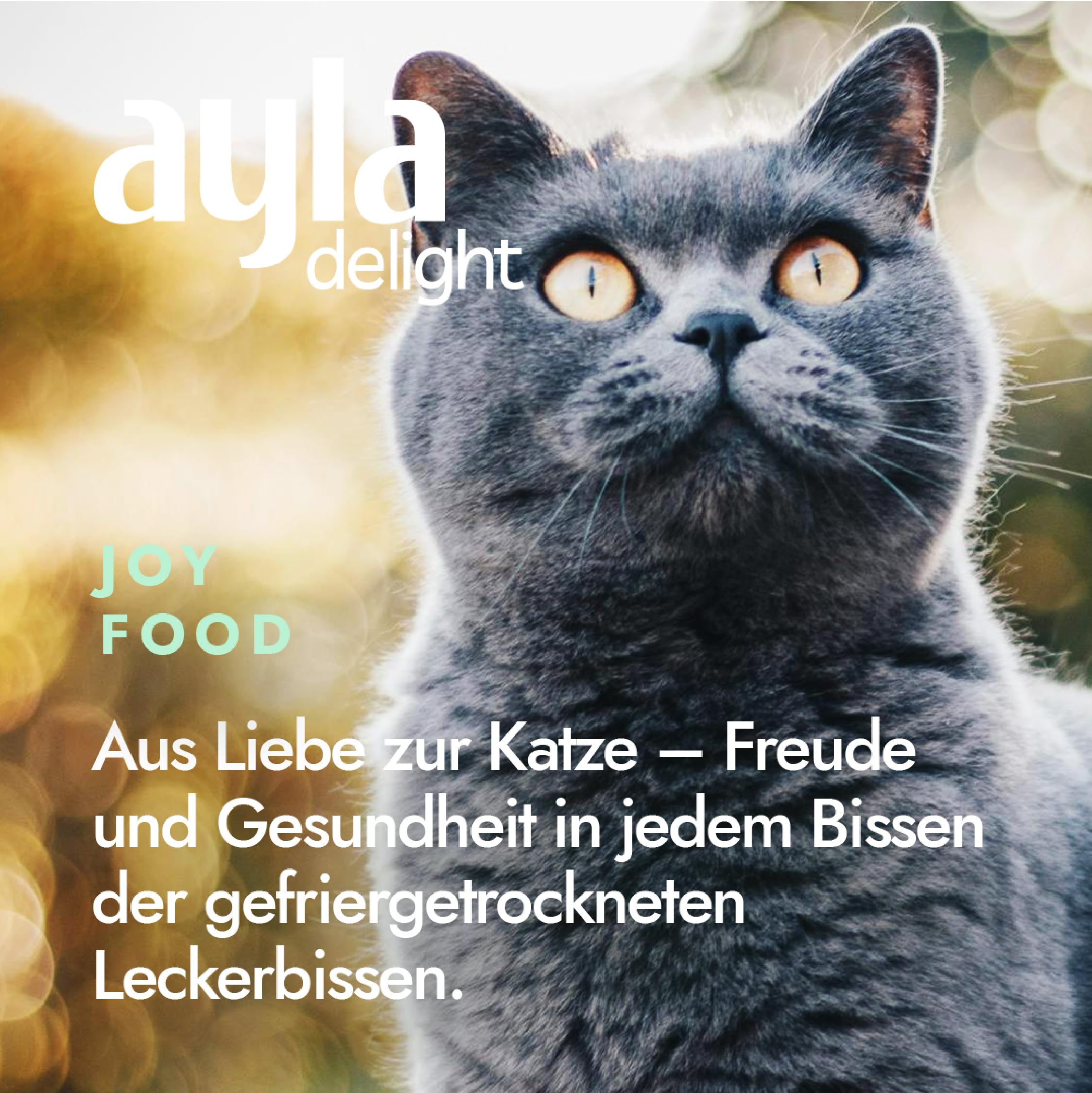 Premium Gefriergetrocknetes | 5er Bundle Hühner-Mix | 2X Hühnerbrust, 2X Hühnerherzen, 1x Hühnerschenkel | Proteinreich für Fell & Muskulatur | Für Kitten & Erwachsene Katzen | AYLA