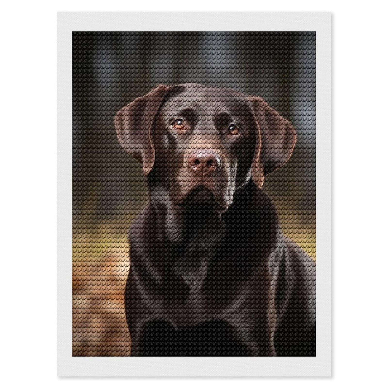 FodPand Diamond Art Kits for Adults, 5D Aurora Diamond Painting Kits for Beginners, Labrador Retriever DIY Full Drill Dots Gem Art Paint Crafts for Home Wall Decor 12"x16"