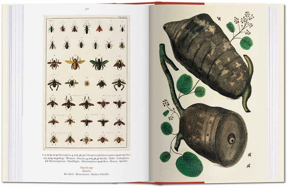 セバ著　Cabinet of Natural Curiosities25th Seba. Cabinet of Natural Curiosities. TASCHEN Books