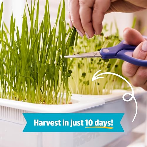 Miniatura 4 de Back to the Roots Tanque de agua con jardín para peces Deluxe