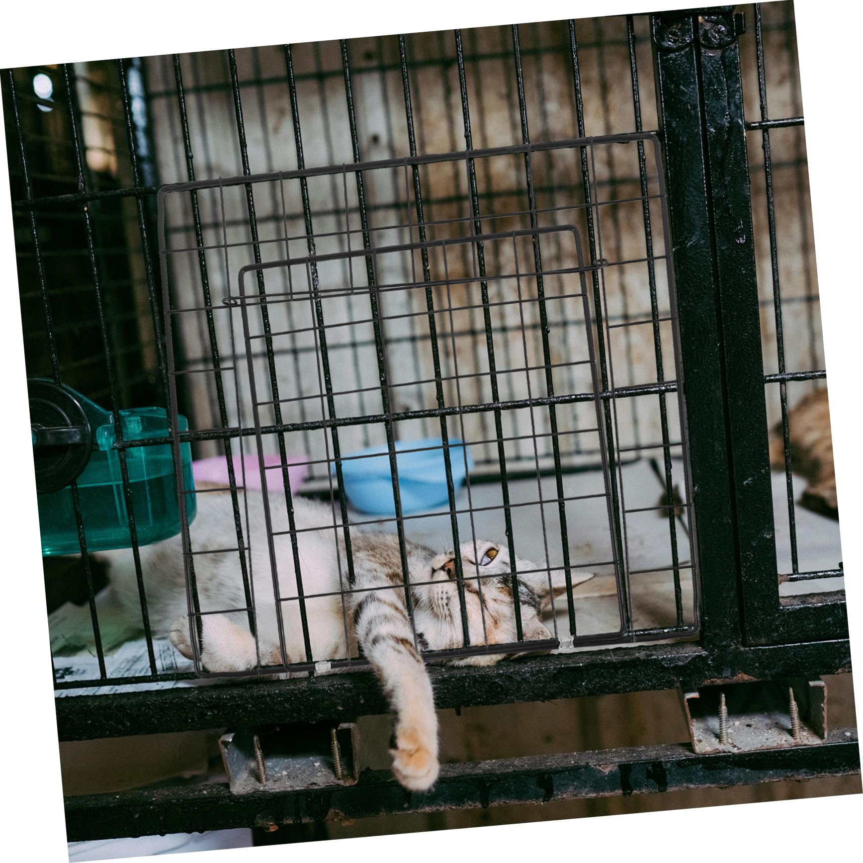 Puerta de Valla para Mascotas Engrosada de Hierro Negro, Resistente al Desgaste y Ensamblaje Libre para Jaulas de Gatos y Perros