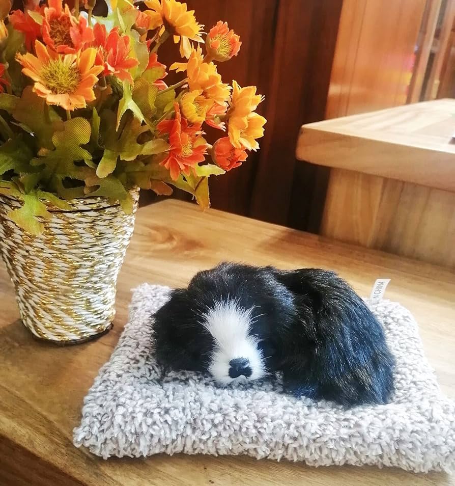 Little Pullip+ / Dog (犬) F-846 2mvetro 中古】【非常に良い】Little Pullip+ / Dog (犬) F-846 2mvetro