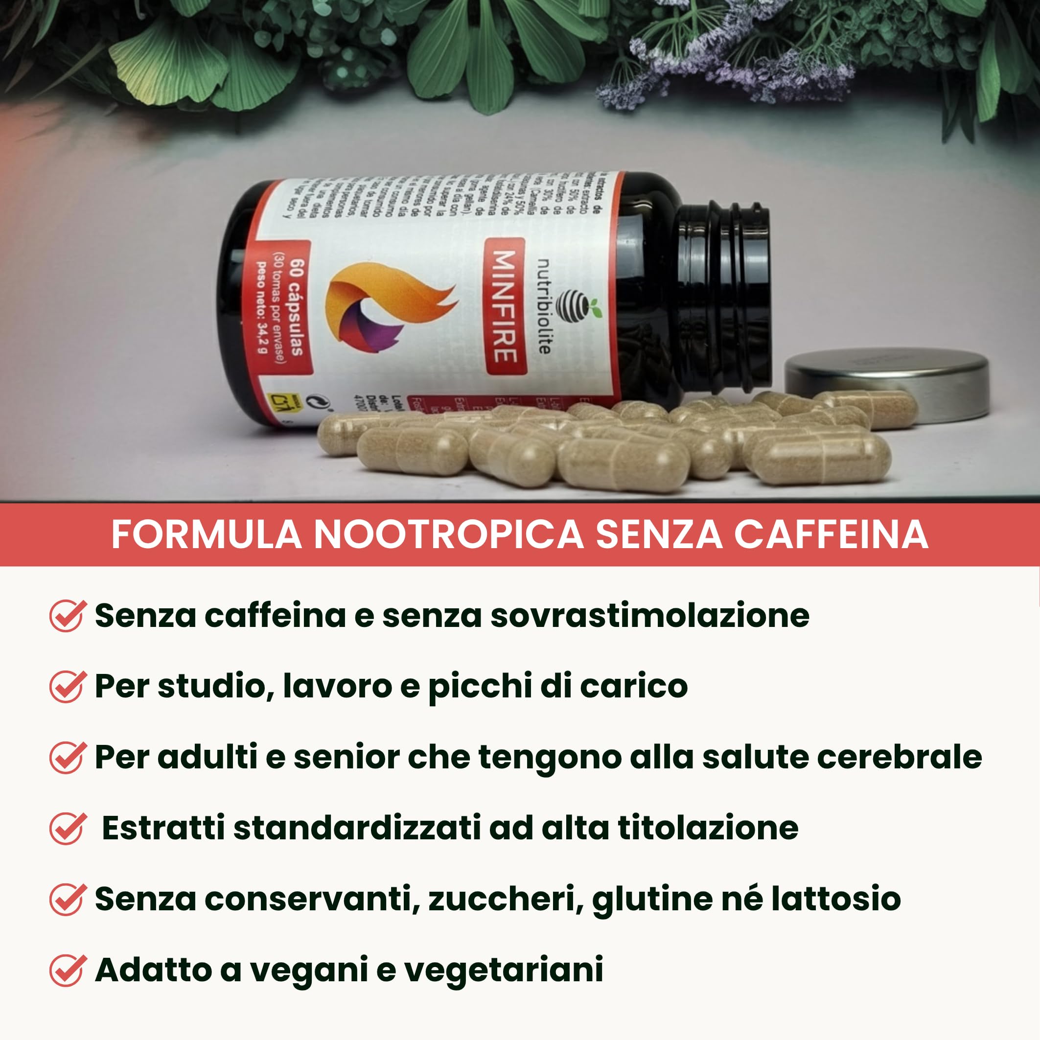 Nootropico naturale senza caffeina - Bacopa, Criniera di Leone, Colina, Ginkgo, Tè verde, Fosfatidilserina – Memoria, Concentrazione e Affaticamento Mentale - Senza additivi - Minfire Nutribiolite