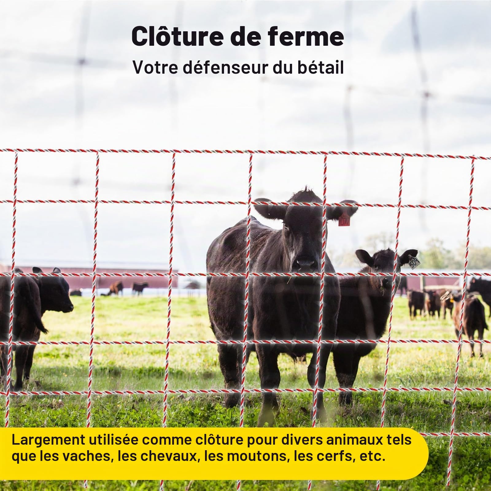 Corde de Clôture Electrique, Clôture de Fil de Bétail en Acier Inoxydable Corde Conducteur de Clôture Accessoires de Clôture Electrique pour (1000M) | Corde de Clôture Electrique Clôture de Fil de Bétail en Acier Inoxydable Corde Conducteur de Clôture Acc