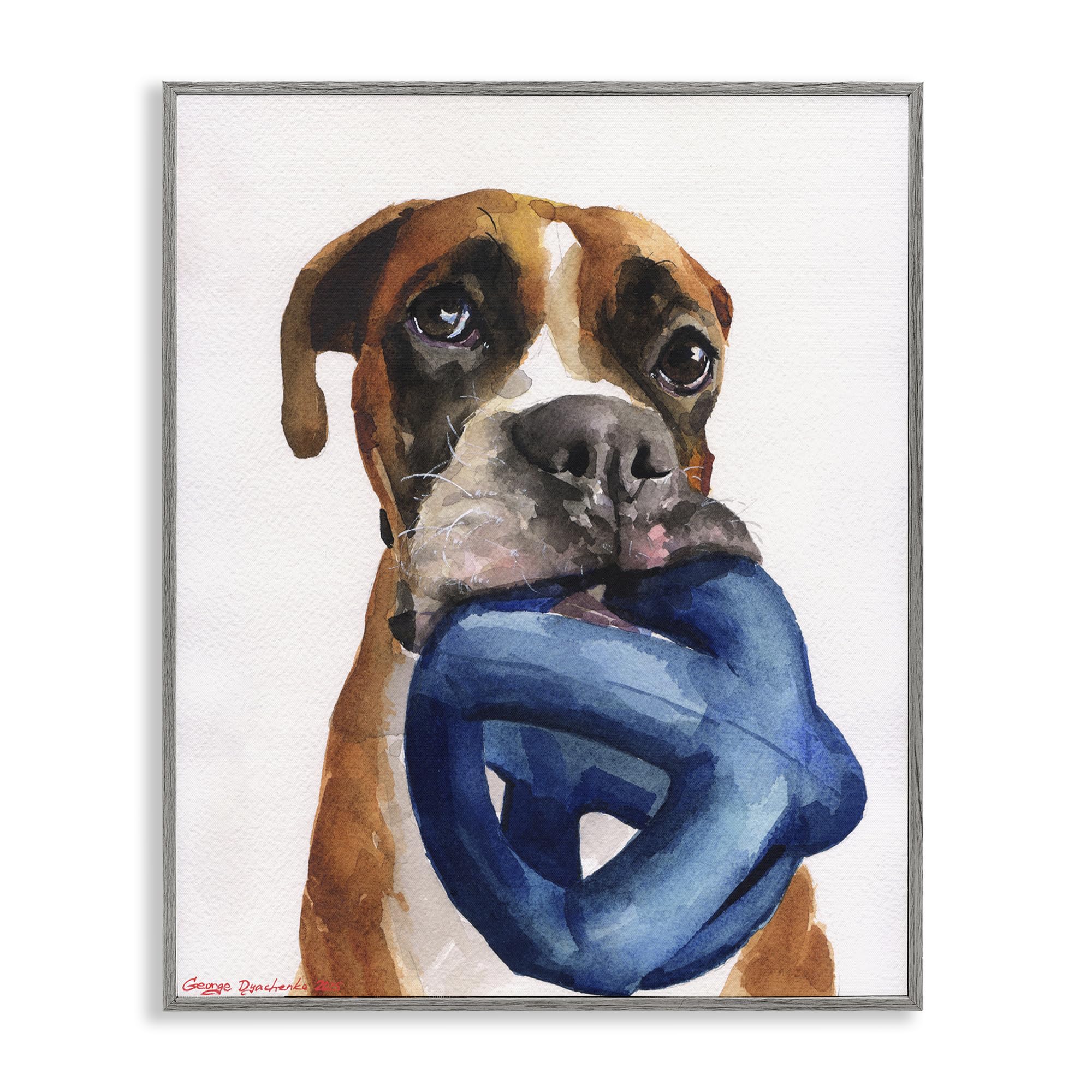 Stupell Industries Boxer and His Toy White Gray Framed Giclee Art, design by George Dyachenko, 14 x 11