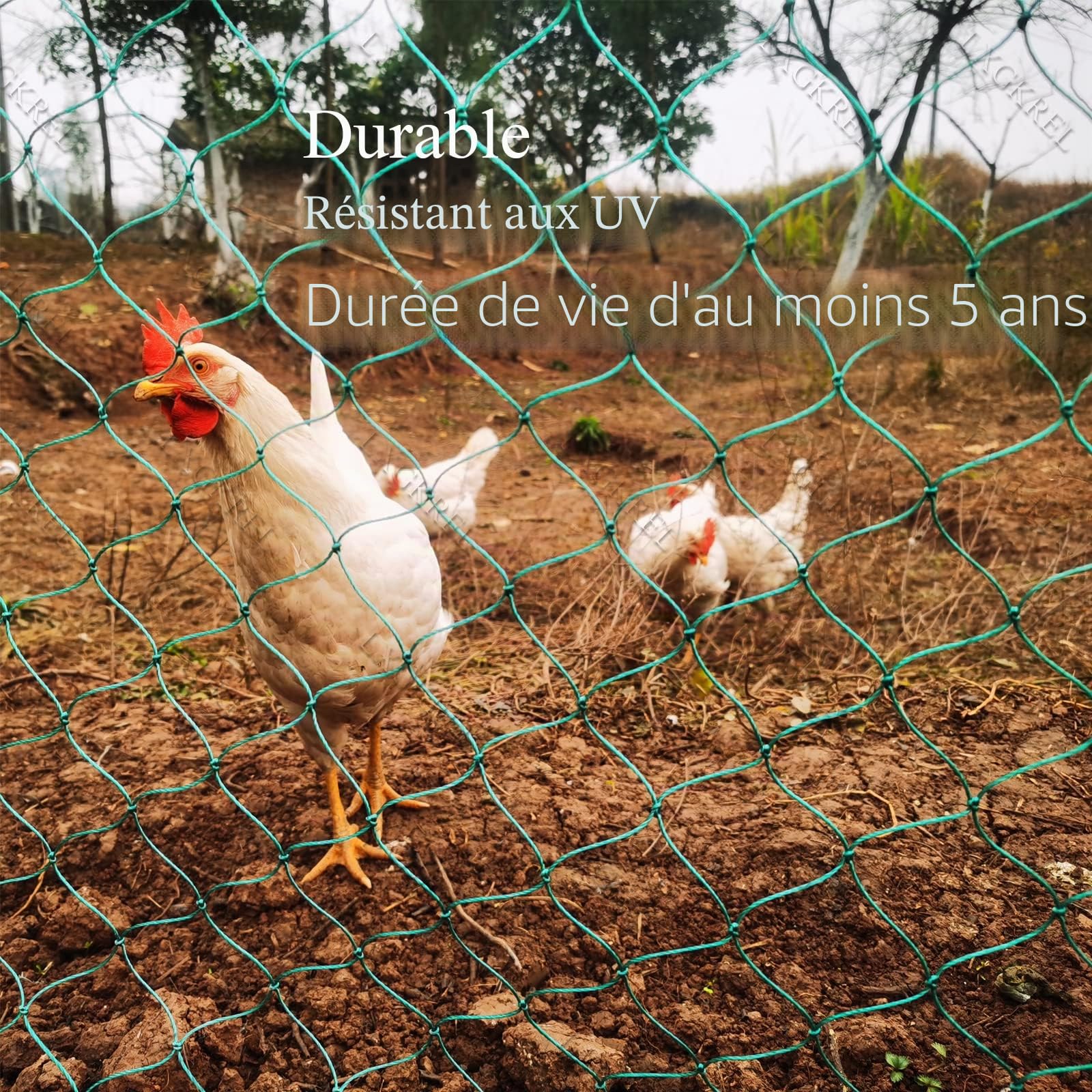 LXGKREL Filet de volaille très robuste en 36 fils avec nœuds fixes - 5 cm - Clôture de volaille sans électricité pour protéger les oiseaux de proie - Complément idéal du poulailler - 1,5 x 20 m