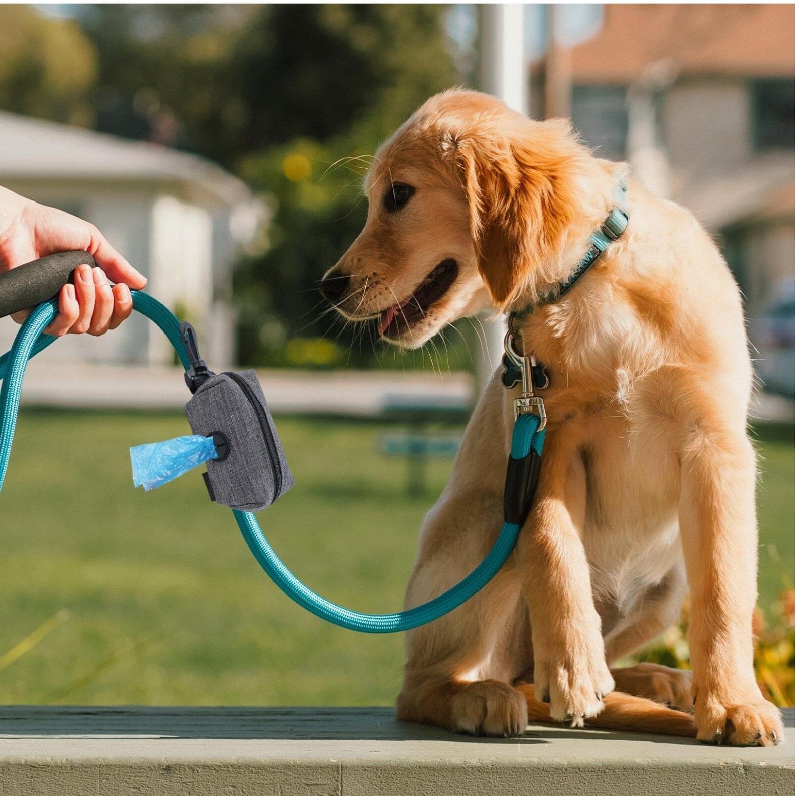 Amazon.co.jp: 犬うんち袋ケース トイレ袋ポーチ カラビナ付き