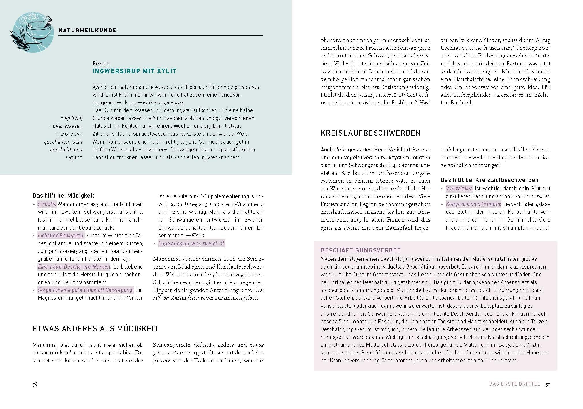 Guter Hoffnung - Hebammenwissen für Mama und Baby: Hebammenwissen für Mama und Baby - Ganzheitliche Begleitung aus Evidenz und Naturheilkunde - Das Standardwerk vollständig überarbeitet und erweitert