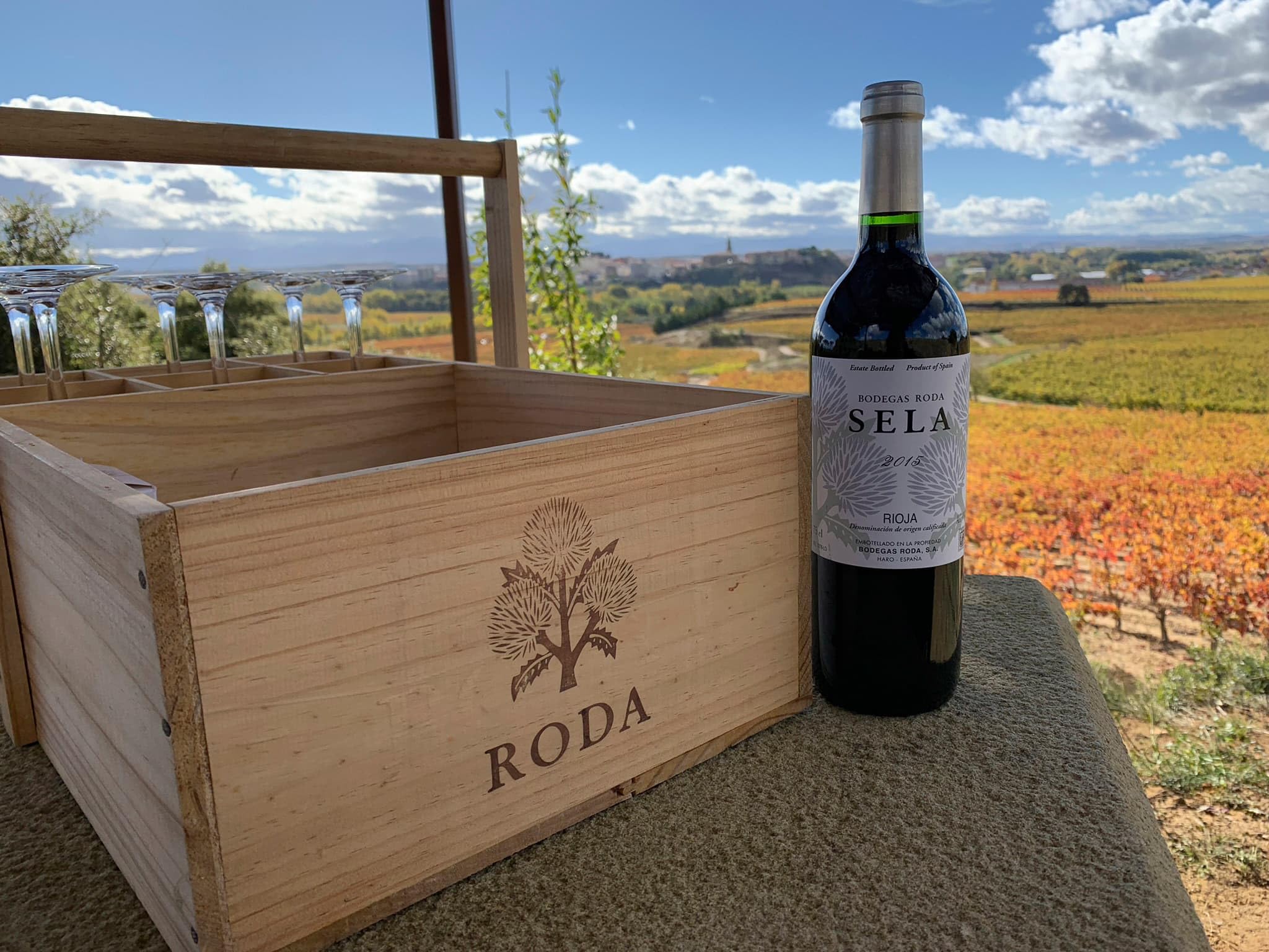 Bodegas Roda Sela Tempranillo Magnum in Geschenkpackung Rioja Rotwein trocken (1 x 1.5 l)