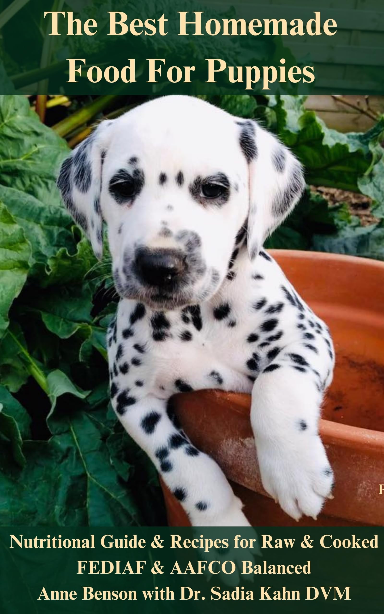 The Best Homemade Food For Puppies Nutritional Guide And Recipes