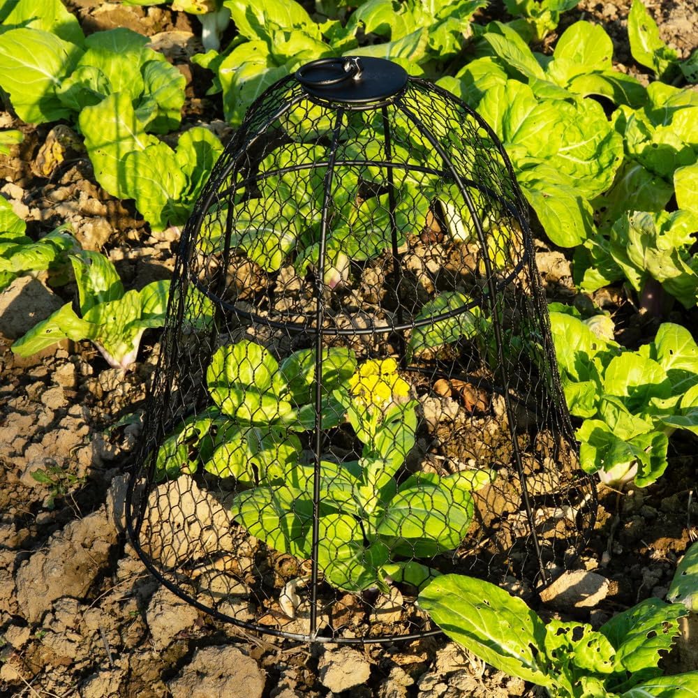 5PCS Garden Wire Cloche,Plant Protection Metal Cover,Protect Potted Plants,Vegetables,Fruit Trees from Being Eaten by Birds,Squirrels,Rabbits and Other Small Animals(Black)