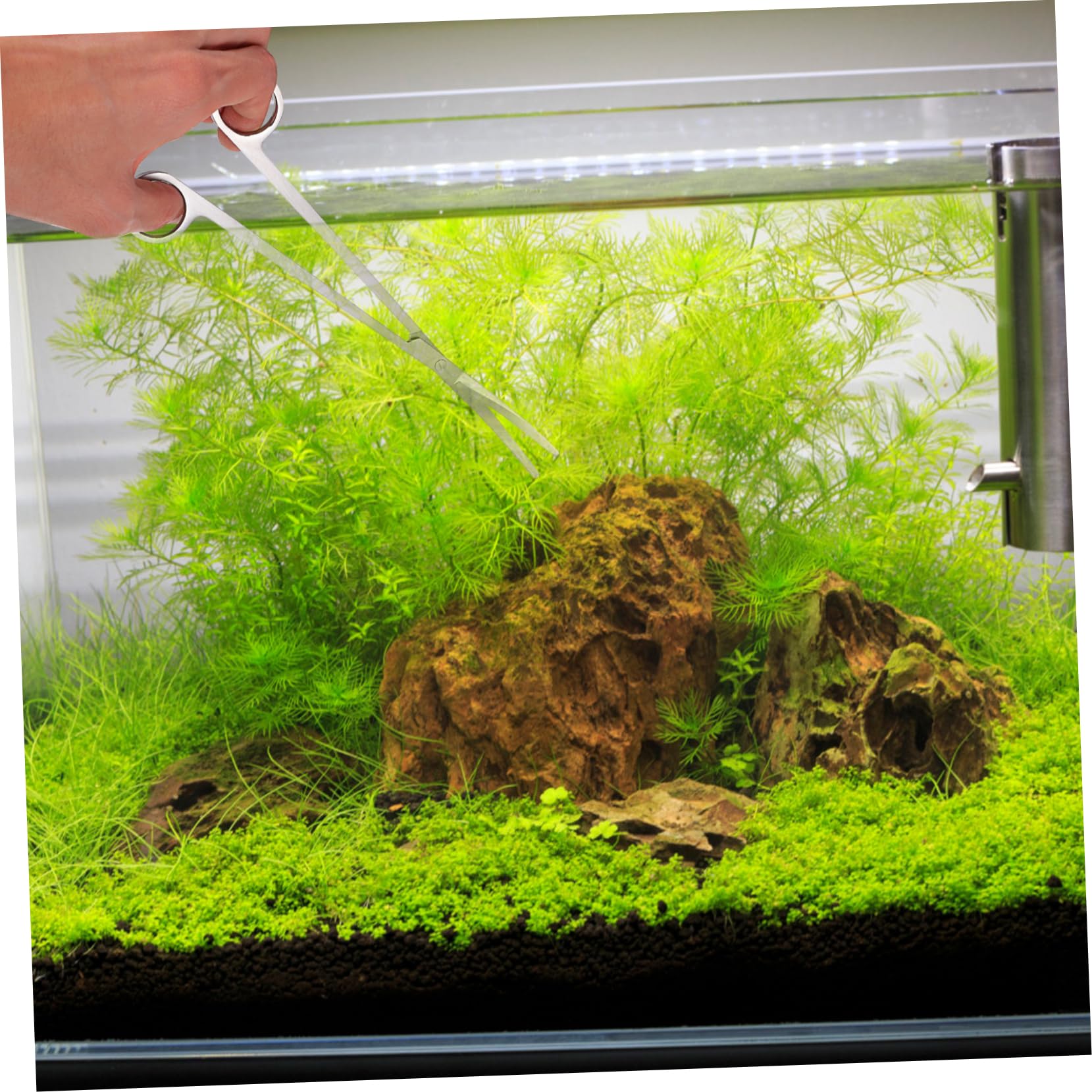 Juego de Herramientas para Plantas Acuáticas de Acuario 4 Piezas | Acero Inoxidable, Color Plata, 1 Set, para Sustrato y Grava, Mantenimiento y Retirada de Plantas Marchitas
