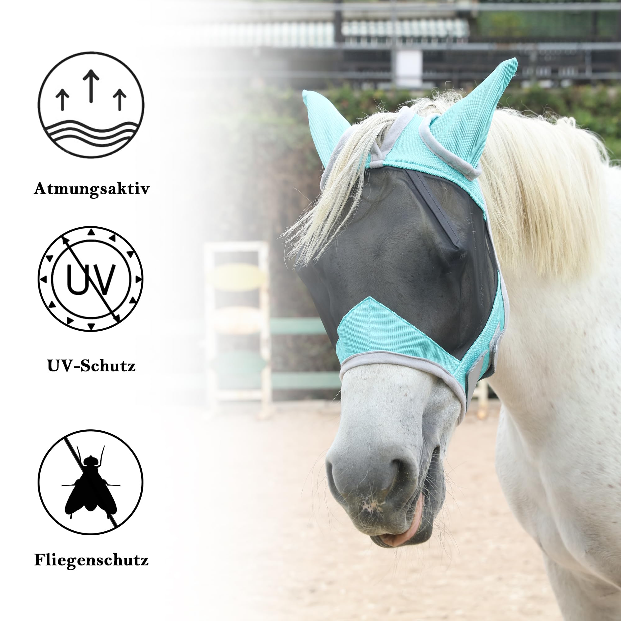 Fliegenmaske Pferd mit Ohren – leichtes Mesh, atmungsaktiv, UV-Schutz, weich gepolstert & bequem, verstellbar Hellgrün Pony