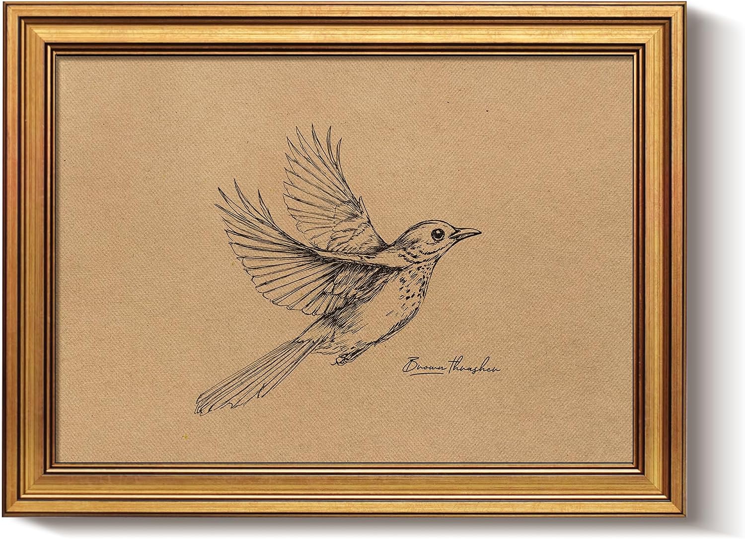 Bzstyleart Vintage Wall Art Decor, Vintage Gold Framed Wall Art, Sketch Painting Picture, Room Decor Aesthetic, Canvas Travel Prints for Apartment Decor Kitchen Office, Georgia Bird 12L x 16W