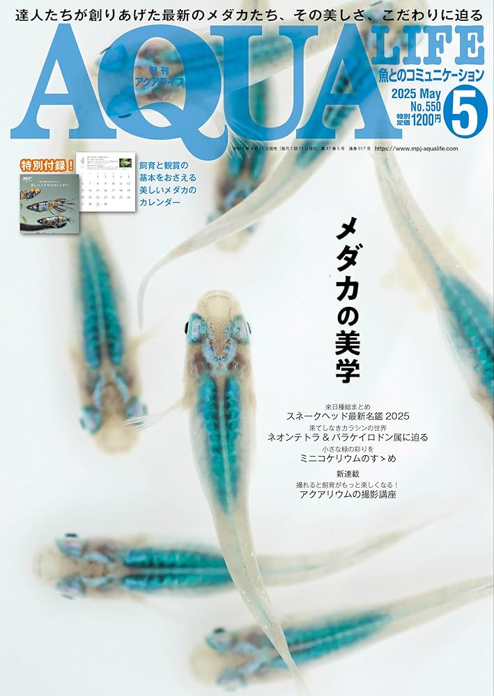 【専用】月刊アクアライフ 2011〜2014年1〜12（No.378〜425） 専用】月刊アクアライフ 2011〜2014年1〜12（No.378〜425）